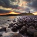 Andrew Dodds Photo 38