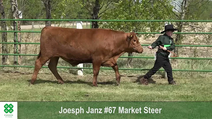 Joseph Janz Photo 6