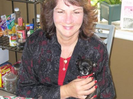Annette Haar Photo 2