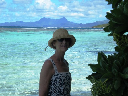 Wendy Hall Photo 24