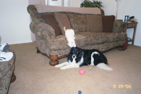 Michelle Lindahl Photo 12