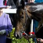 Willie Mullins Photo 52