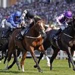 Richard Hannon Photo 46