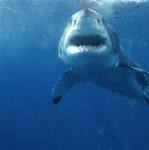 Russell Sparks Photo 52