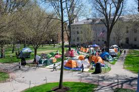 John Harvard Photo 49