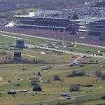 Willie Mullins Photo 50