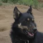 Linda Clarke Photo 48