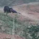 Timothy Treadwell Photo 35