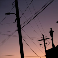 Mark Quinlan Photo 47